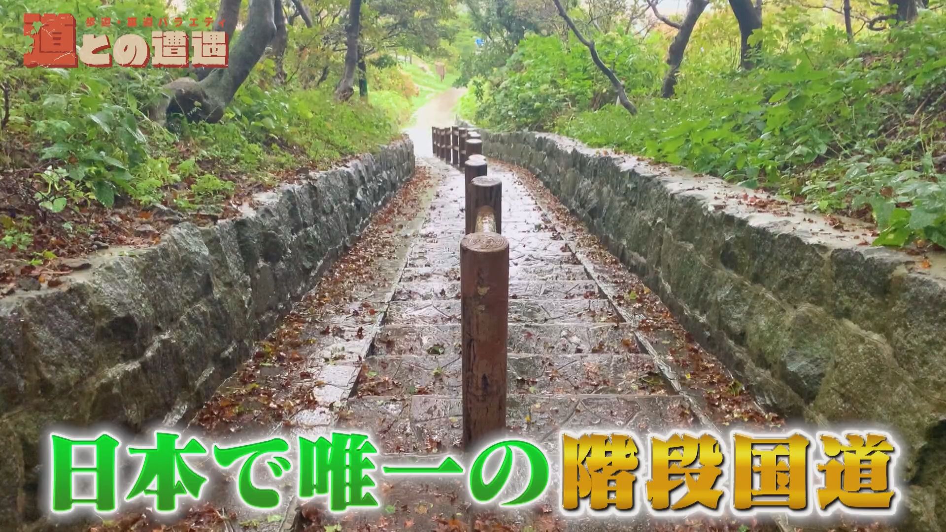 日本で唯一の「階段国道」!階段が国道に指定されたワケとは?