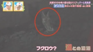 伊豆半島最古の隧道で遭遇したのはフクロウ！？ 道マニアも「初めて見た」という奇跡の瞬間