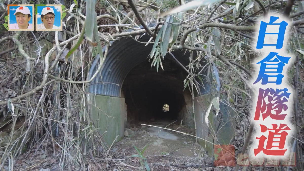 岐阜県の山中に眠るトンネル かつて通学路として使われていた素掘りの隧道とは
