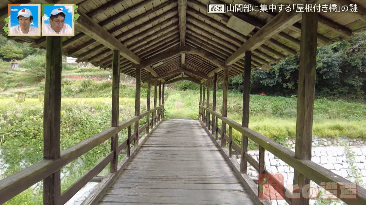 愛媛の山間部に集中する “屋根付き橋”の謎 弓削神社の参道に架かる太鼓橋も