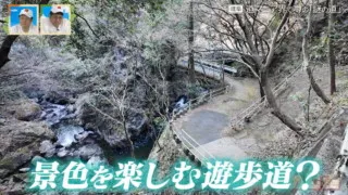いつ、どんな目的で造られた？岐阜の山間部にあるつづら折りの道の謎に迫る