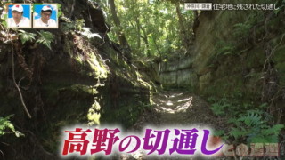 民家の隣が切通し！？かつて“天然の要塞”と言われた鎌倉の住宅地に残る「高野の切通し」とは
