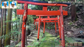 温泉レジャー施設の立ち入り禁止エリアに残る廃道　古びた鳥居が連なる謎の参道も