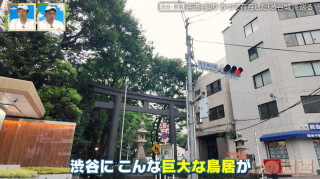 かつては渋谷に城があった！？原宿は本当の原宿ではない！？東京の古道に残る「渋谷城」と「原宿村」の痕跡