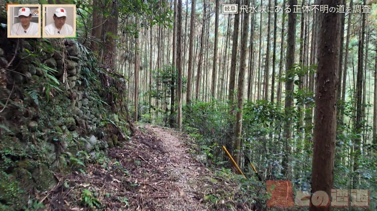 飛騨川の右岸に眠る“正体不明の道”を調査!2つの素掘り隧道も出現…謎だらけの廃道の秘密とは
