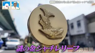 誰が何のために？“謎の金シャチ”が大量に…名古屋の幹線道路・国道41号にレリーフが並ぶワケとは