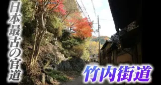 大阪「堺」の由来は“国の境界”があったから！？大阪と奈良を結ぶ日本最古の官道「竹内街道」の歴史を紐解く旅