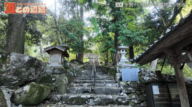 CBCテレビ『道との遭遇』