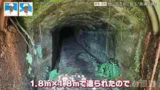 新潟・旧山古志村に眠る廃通学路「東隧道」 豪雪と戦い人々の暮らしを支えた隧道の歴史とは