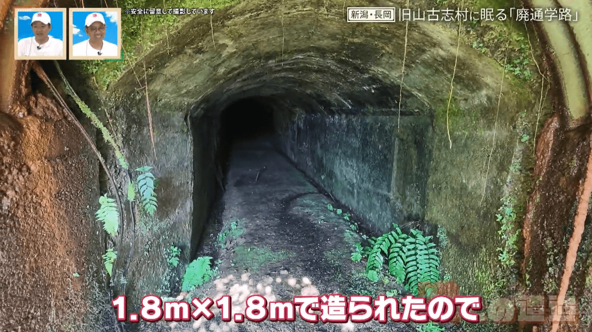 新潟・旧山古志村に眠る廃通学路「東隧道」 豪雪と戦い人々の暮らしを支えた隧道の歴史とは