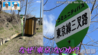 なぜ青森県の集落に「東京」の地名が？バス停「東京線三叉路」の驚きの由来とは