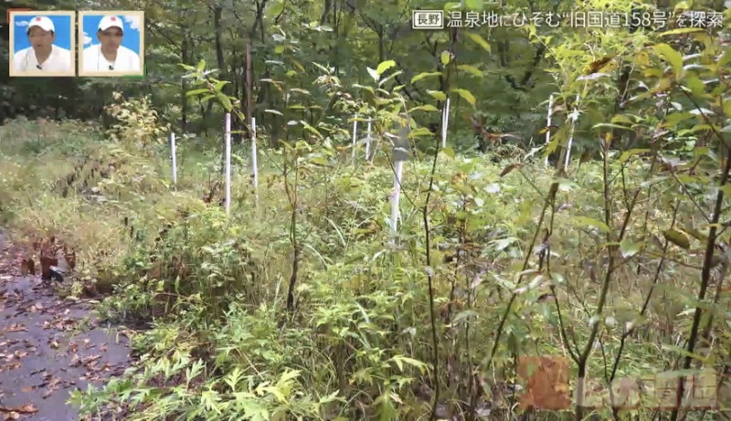 CBCテレビ『道との遭遇』