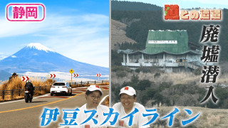 【静岡】熱海と天城高原を結ぶ絶景ロード「伊豆スカイライン」【道との遭遇】