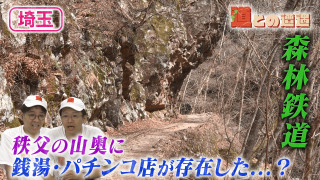 【埼玉】森林鉄道の廃線跡から娯楽施設の痕跡を探す【道との遭遇】
