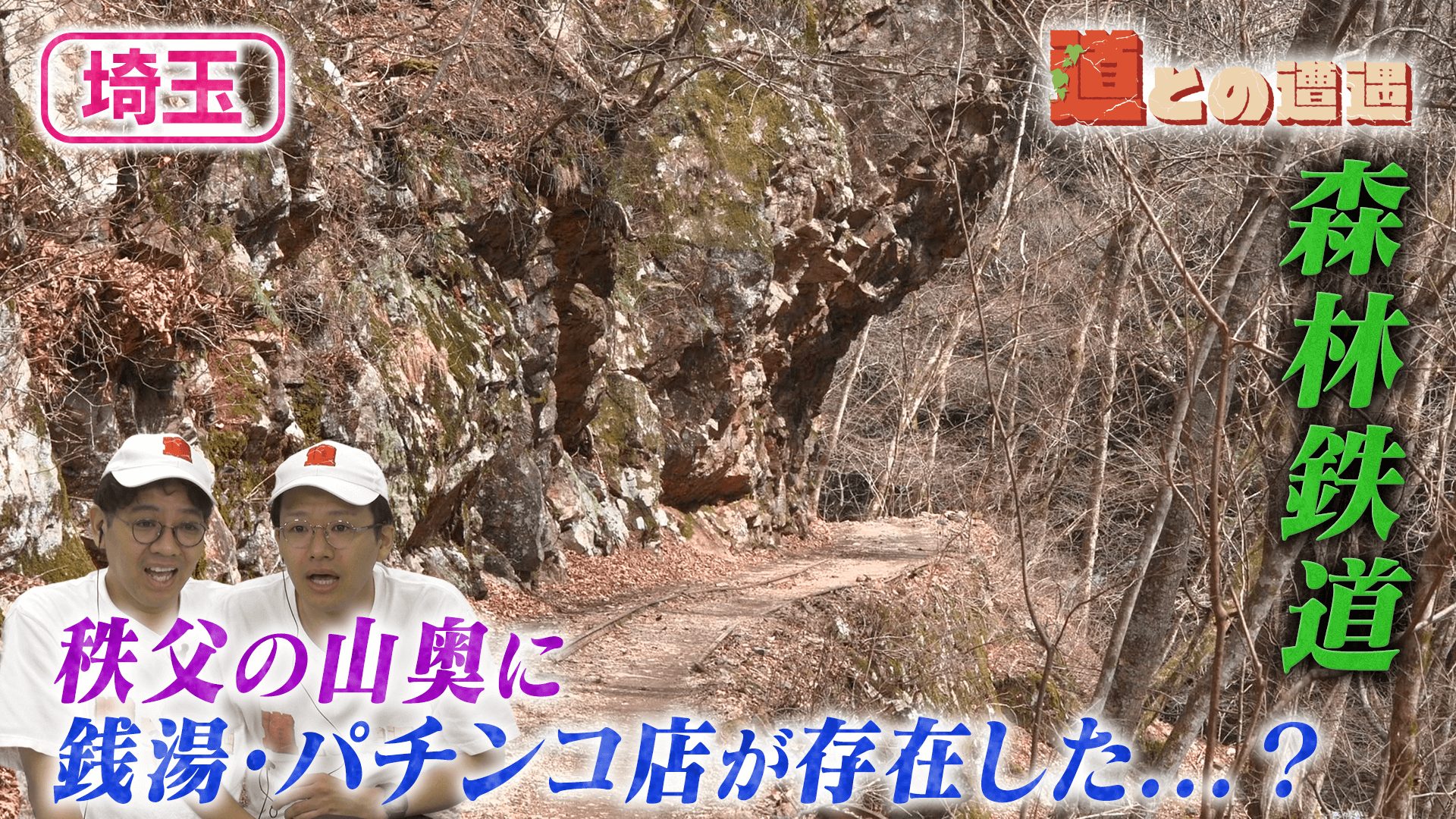 【埼玉】森林鉄道の廃線跡から娯楽施設の痕跡を探す【道との遭遇】