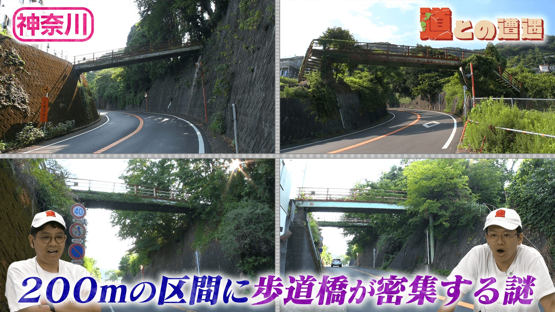 【神奈川・湯河原】温泉地に潜む４本の“謎の歩道橋”【道との遭遇】