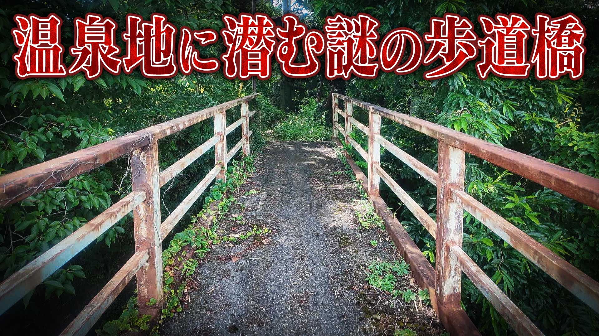 【道マニア】神奈川・湯河原｜短い区間に4本… 温泉地に潜む謎の歩道橋【道との遭遇】
