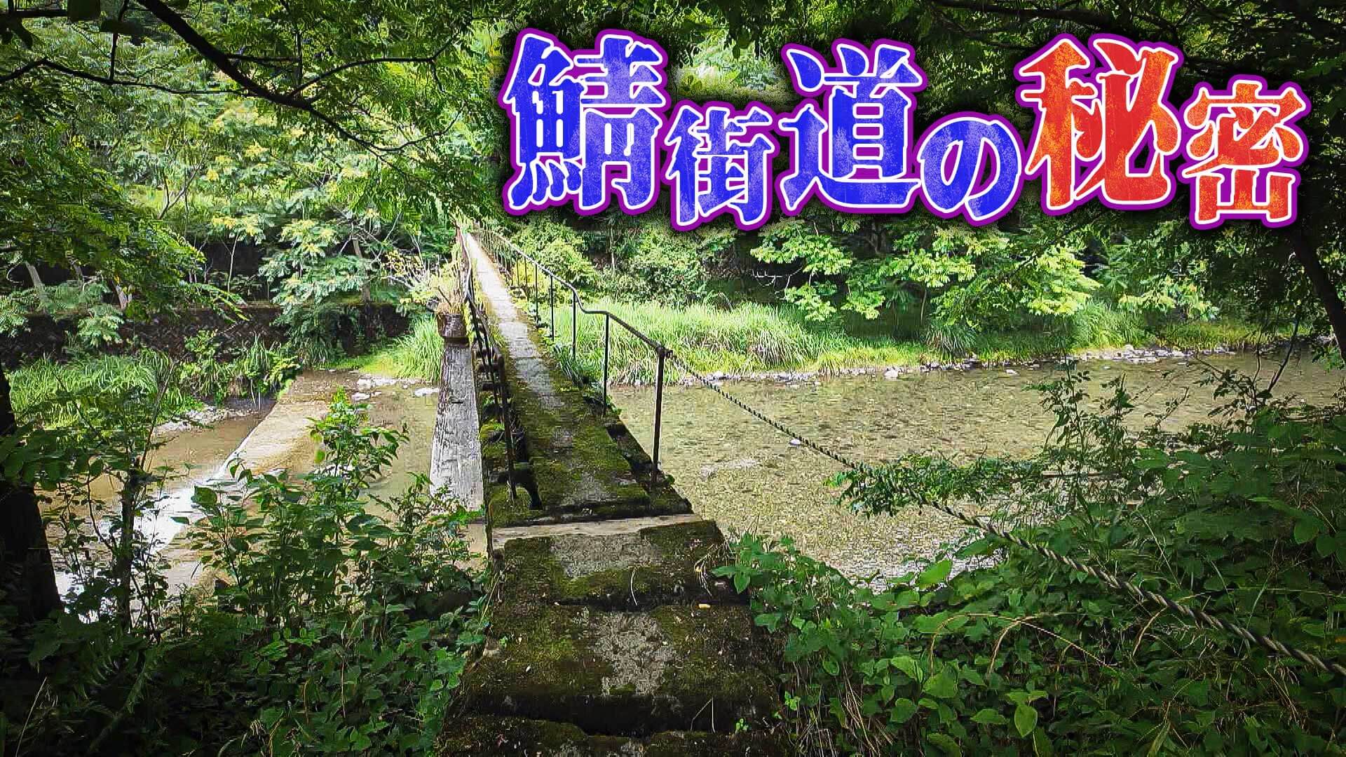 【道マニア】福井・滋賀・京都｜道の魅力全部盛り！鯖街道の歴史と秘密【道との遭遇】