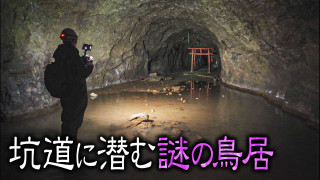 【道マニア】【岐阜】ロケでは行けない坑道… 奥には謎の鳥居？【道との遭遇】