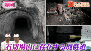 【静岡】地図に載る“石切場内に造られた廃隧道”【道との遭遇】