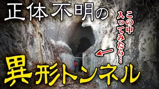 【道マニア】大分・廃道マニアも絶句 “異形の廃隧道”へ入ってみたら…【道との遭遇】