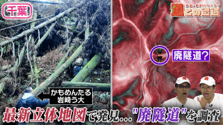 【千葉・房総半島】最新立体地図から発見？