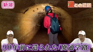【新潟】かつて子どもたちの通学のために造られた隧道～愛～の痕跡を調査