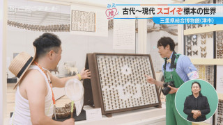 古代～現代 スゴイぞ標本の世界 三重県総合博物館（津市）