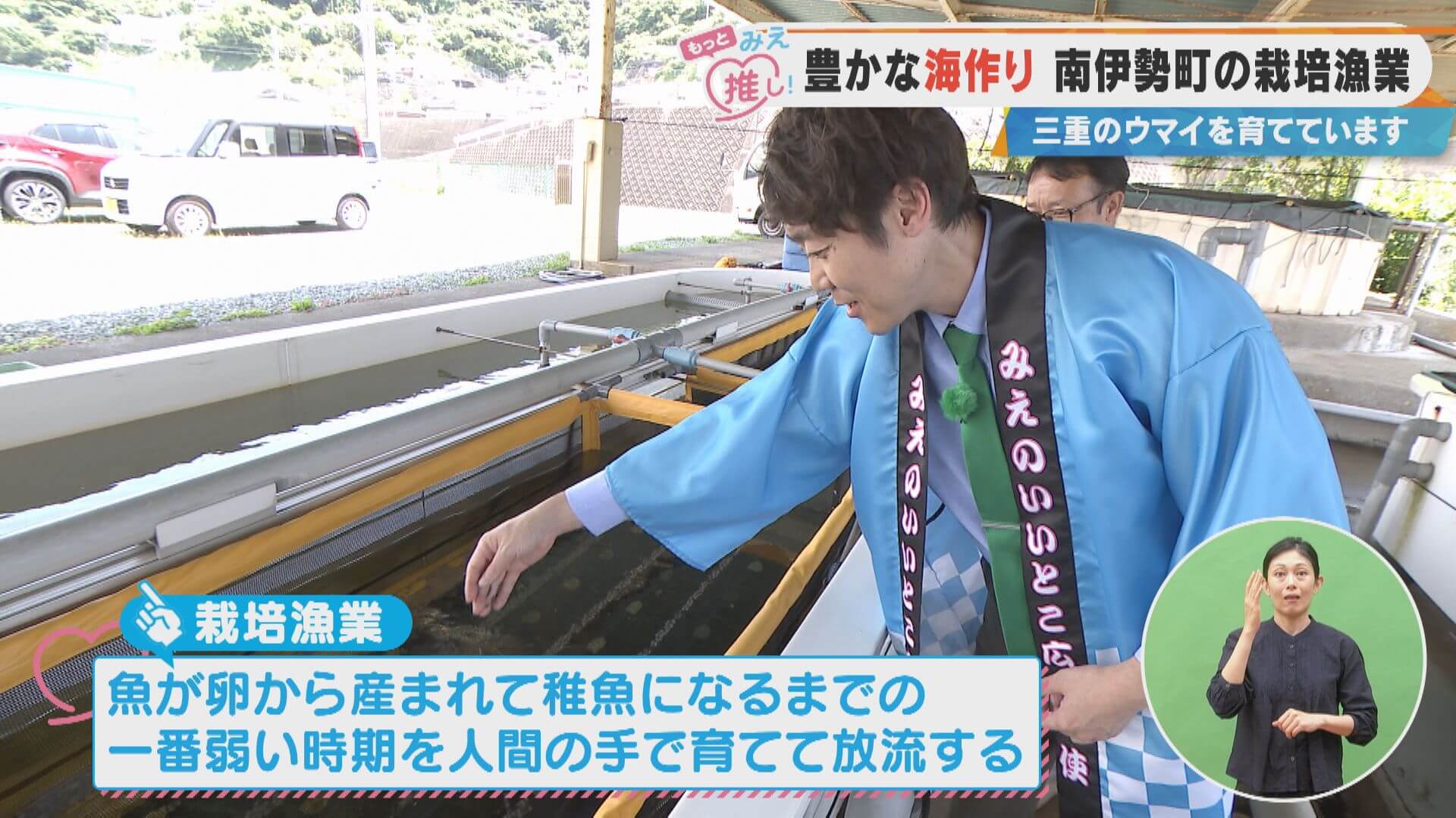 豊かな海作り 南伊勢町の栽培漁業 三重のウマイを育てています