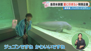鳥羽水族館 夏に行きたい特別企画 超貴重バックヤードツアー