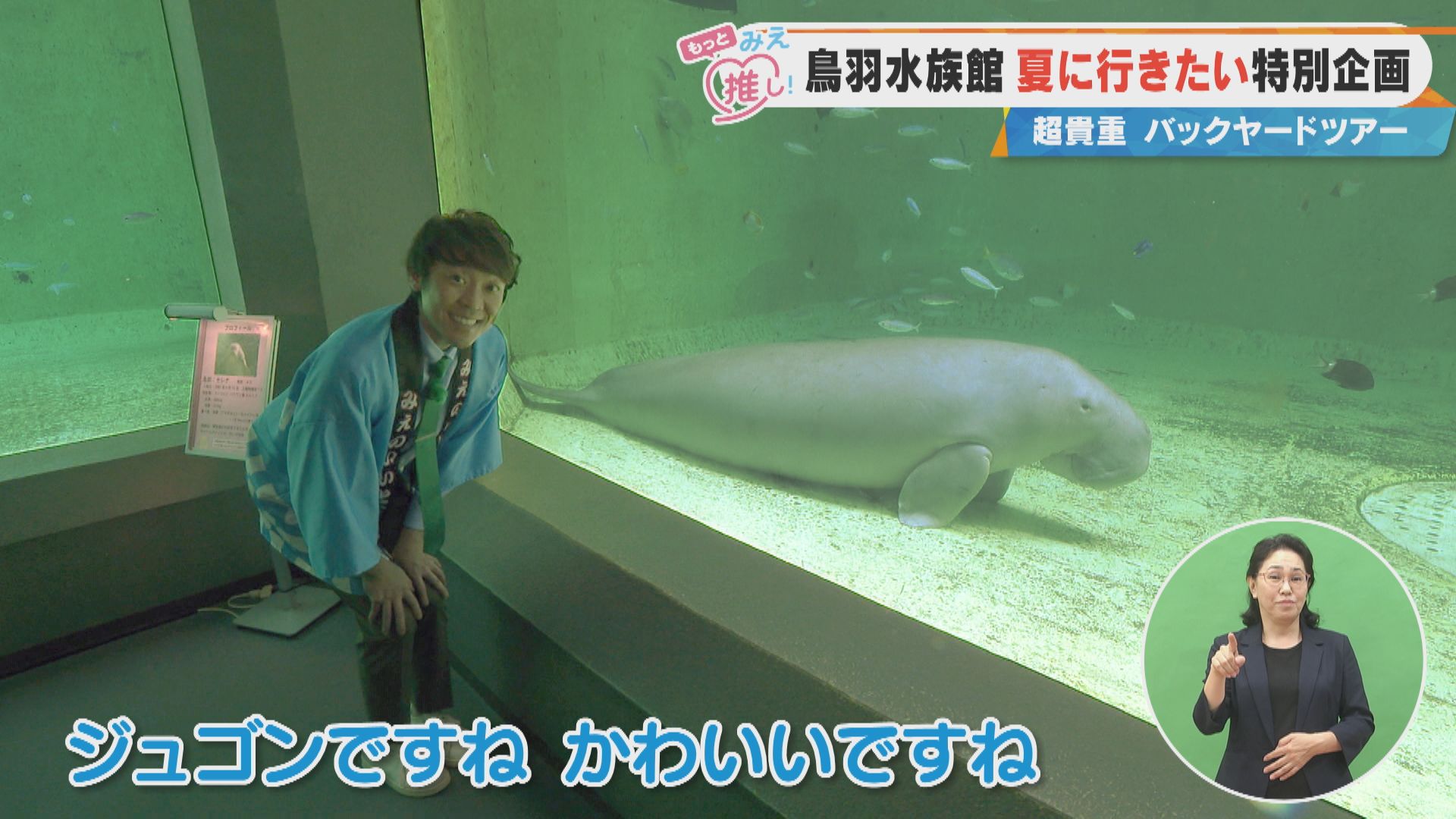 鳥羽水族館 夏に行きたい特別企画 超貴重バックヤードツアー