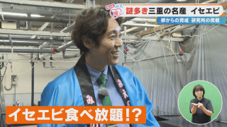 謎多き三重の名産 イセエビ 卵からの育成 研究所の挑戦