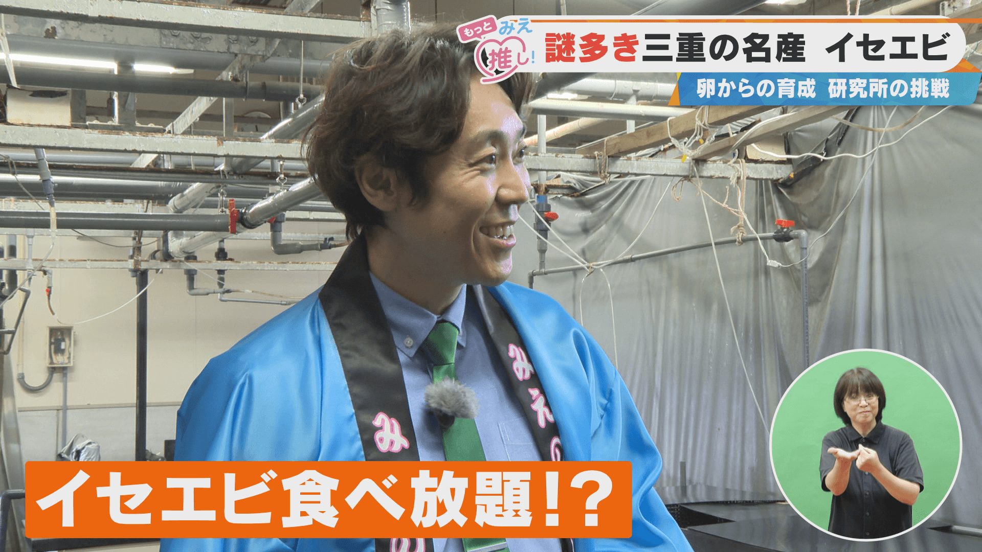謎多き三重の名産 イセエビ 卵からの育成 研究所の挑戦