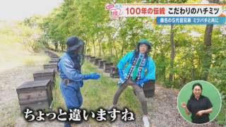 100年の伝統 こだわりのハチミツ 桑名の5代目兄弟ミツバチと共に