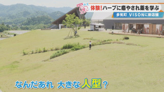 “人型ハーブ畑”が登場！？ハーブの摘み取り体験も！三重「VISON」で大注目の最新スポットとは