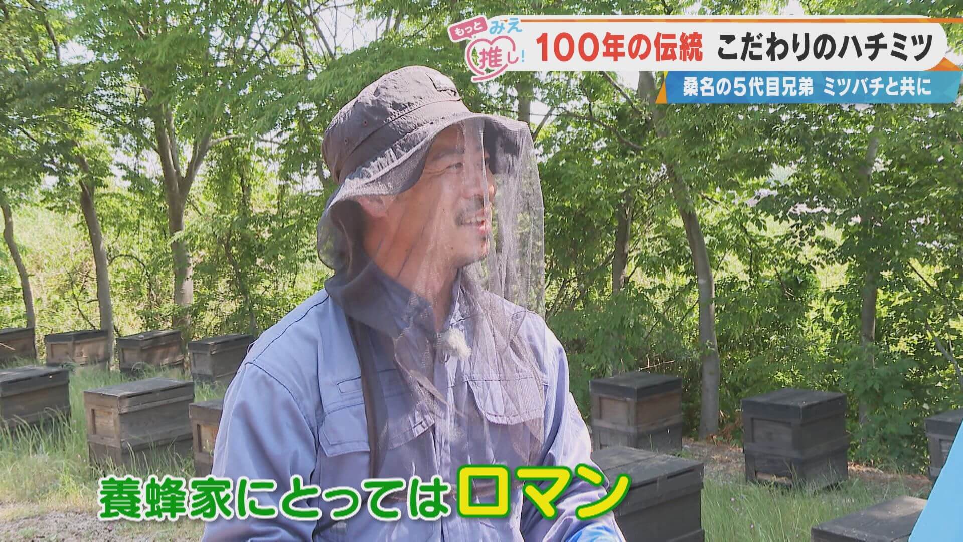 年間わずか“750キロ”の「みかんハチミツ」！？100年以上続く三重・桑名の「舘養蜂場」こだわりの養蜂とは