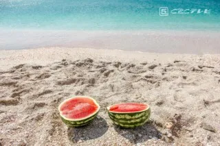 夏の魅力たっぷり「すいか割りルール」を知っていますか？