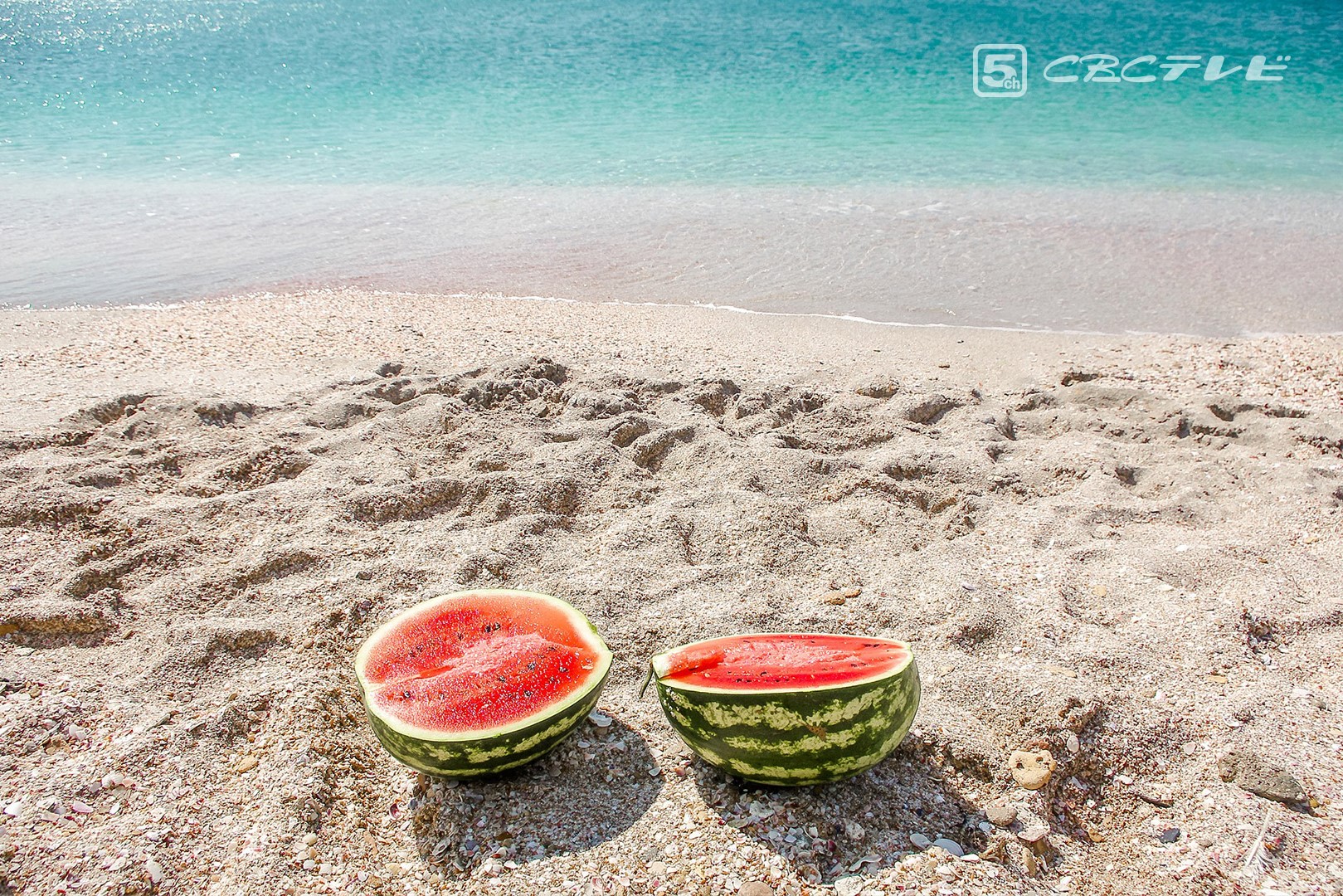夏の魅力たっぷり「すいか割りルール」を知っていますか?