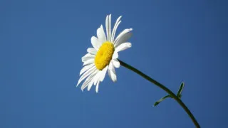 救えなかった命～涙と怒りの中で平成最後の6月が過ぎる
