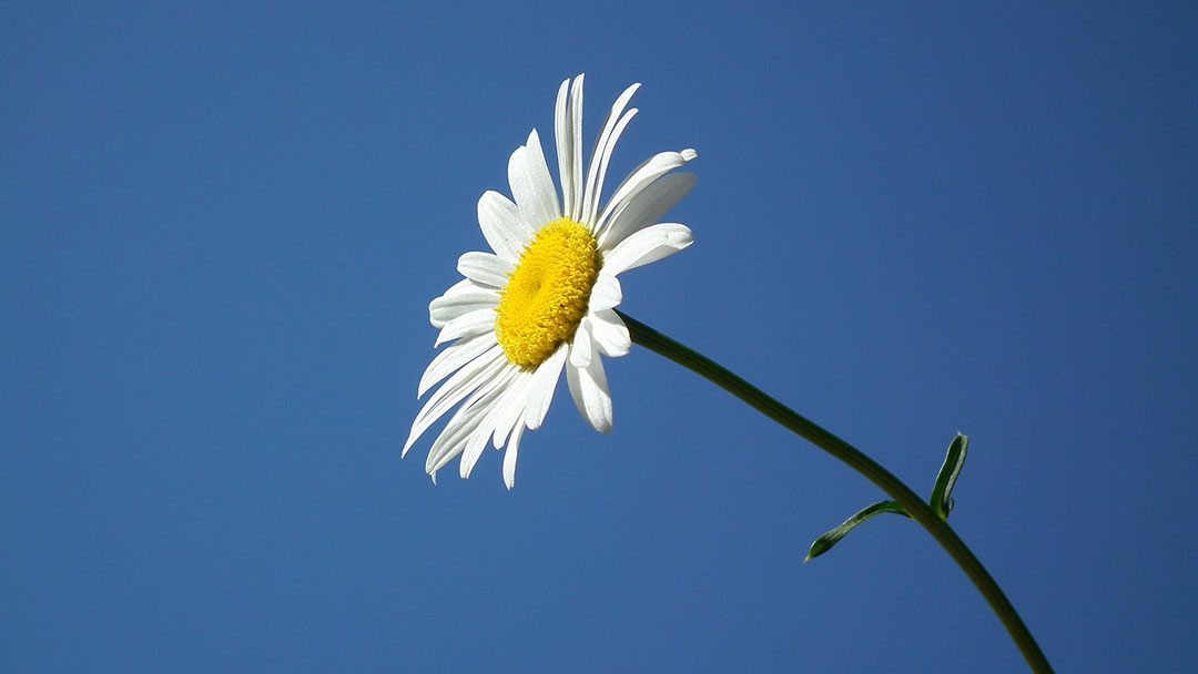 救えなかった命~涙と怒りの中で平成最後の6月が過ぎる
