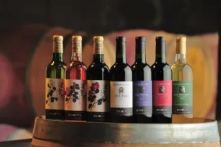 ワインを飲んでいますか？国産ワイン作りに賭けた雪国の熱き情熱