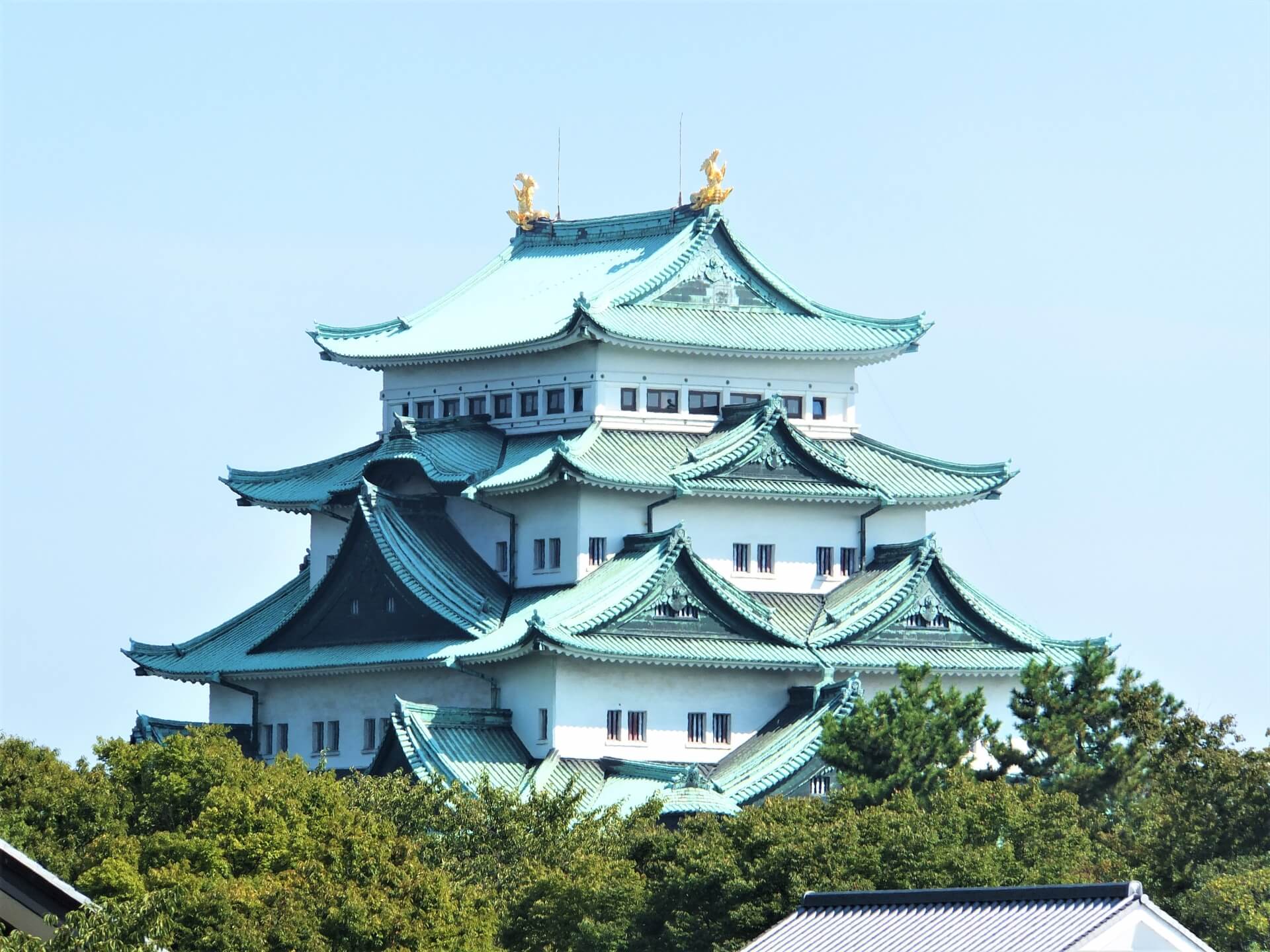 高校生の思いが結実!戦争の悲惨さを語り継ぐ「なごや平和の日」が歩み出す