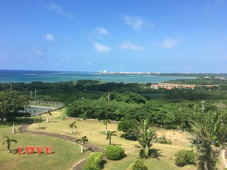 沖縄県議選で玉城デニー知事の与党が敗北、辺野古そして経済問題の行方は？
