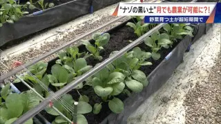 “謎の黒い土” 月での農業を可能にする技術？甘いミニトマトの収穫はロボットで 日本の農業を変える最先端技術