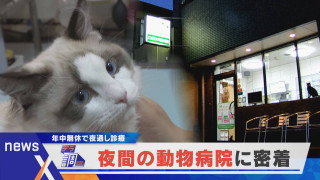【デラ調】1日20時間ぶっ通しで診療 緊迫の夜間動物病院に密着【newsX】