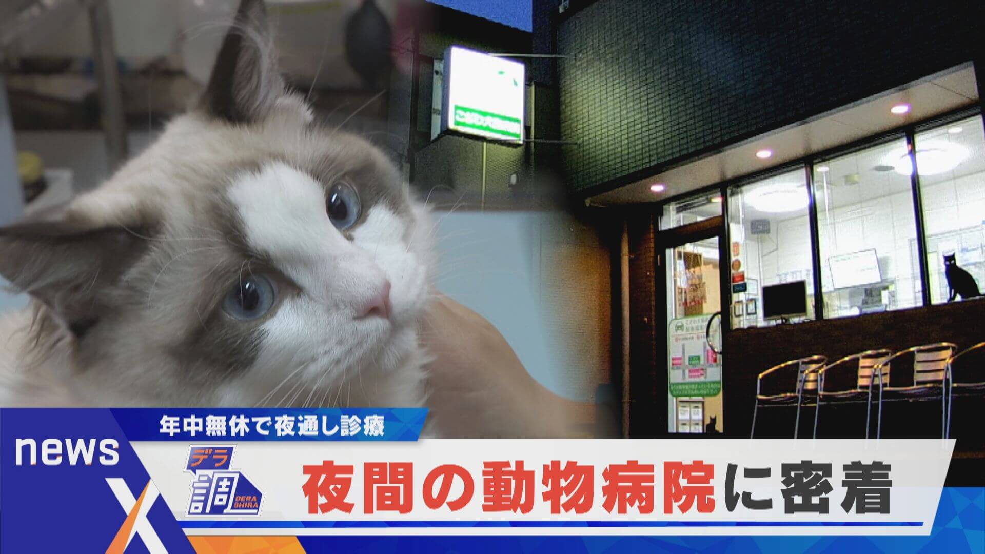 【デラ調】1日20時間ぶっ通しで診療 緊迫の夜間動物病院に密着【newsX】