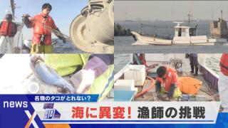 【デラ調】海に異変！名物のタコ獲れない？愛知・日間賀島「死活問題」【newsX】