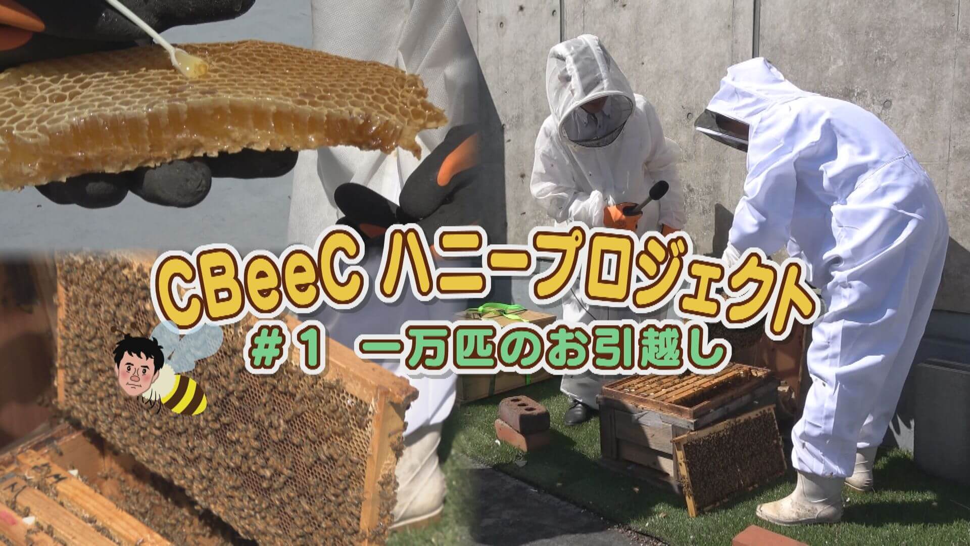 名古屋でハチミツできる？“CBeeC”ハニープロジェクト①【newsX】