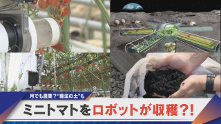 ミニトマトの収穫をロボットで？人手不足を救う最先端農業【newsX】