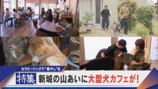 【特集】セラピードッグで